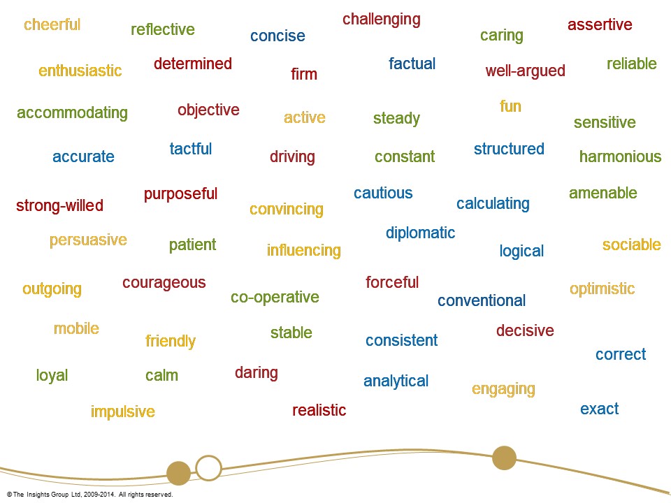 Insights colours: various words to describe your personality.